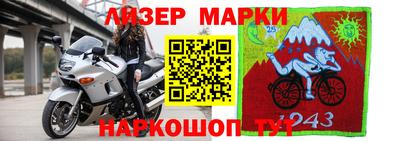 тгк Владивосток